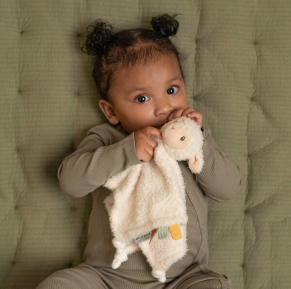 Kuscheltuch Little Farm | 8802