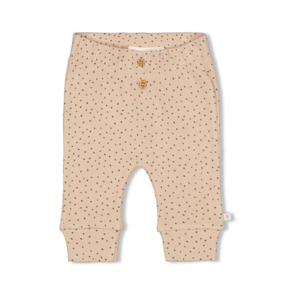 Hose Cute Cookie | 52202296